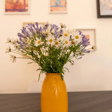 Casa Caterina House - Bright Modern Near Trastevere 罗马