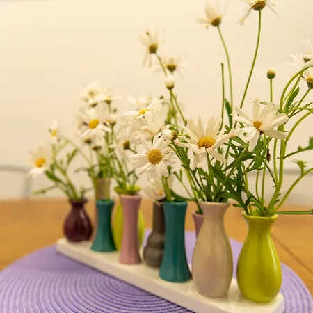 公寓 Casa Caterina House - Bright Modern Near Trastevere 罗马